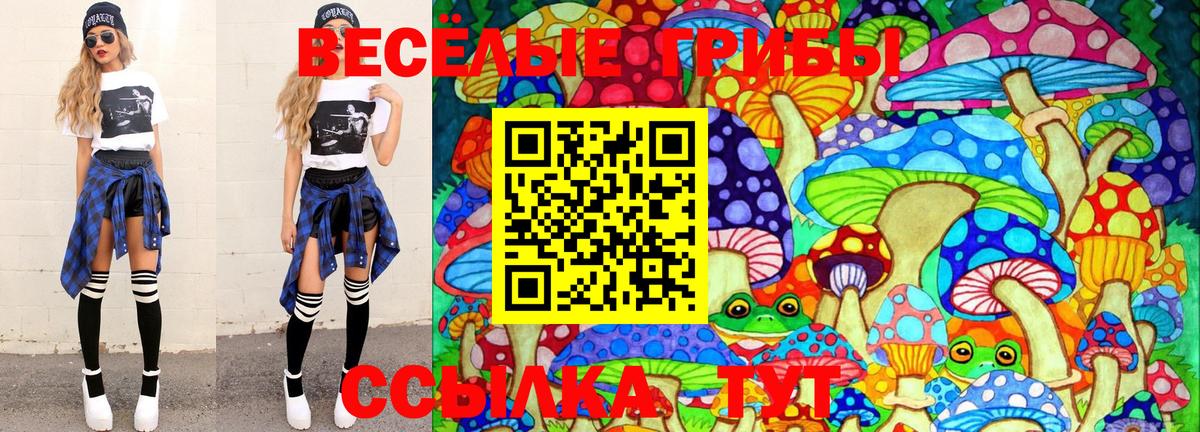 Галлюциногенные грибы Psilocybine cubensis Топки