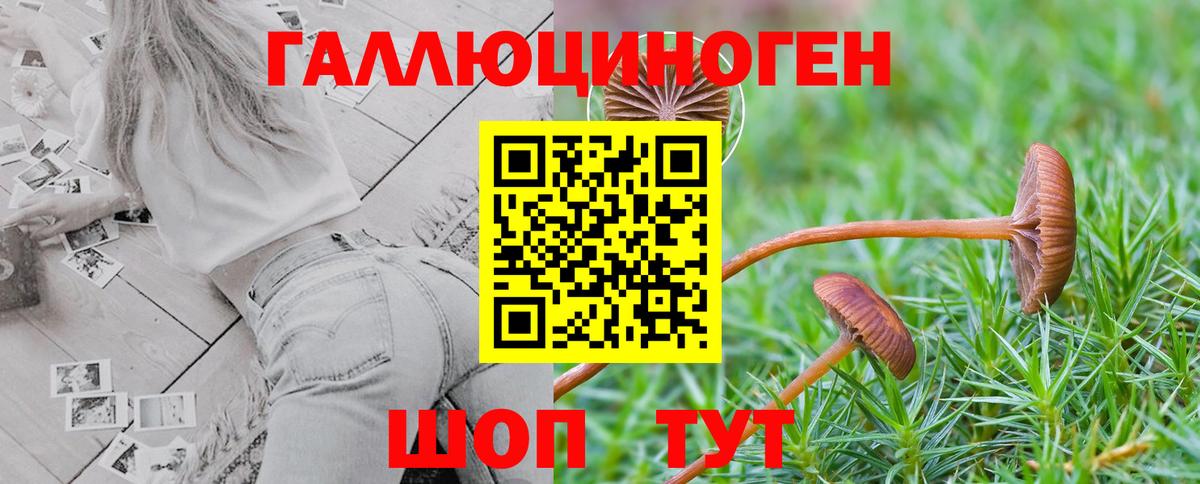 Топки  Псилоцибиновые грибы Cubensis  Вход с VPN  купить  сайты  Галлюциногенные грибы Cubensis 